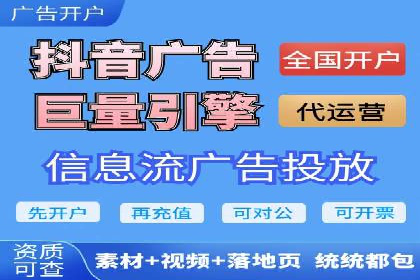 百度竞价排名机制：成功案例与策略探讨
